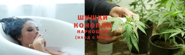 гидропоника Медногорск