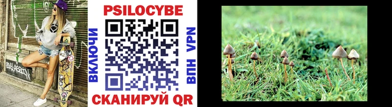 гидра ссылка  Харовск  Галлюциногенные грибы Magic Shrooms 